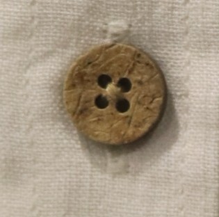 Coconut button